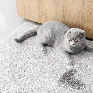 Ontgeuring & geurbestrijding Ontgeuring & geurbestrijding